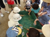 おひさまクラブがありました!